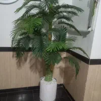 درخت مصنوعی بزرگ نو|گل مصنوعی|کرمانشاه, |دیوار