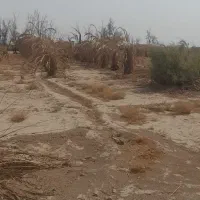 فروش چاه آب کشاورزی وزمین