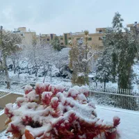 اجاره ۳ خوابه جهت خانواده و  دانشجویان دختر|اجارهٔ آپارتمان|اصفهان, سپاهان‌شهر|دیوار