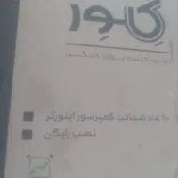 کارتن