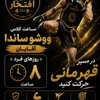 آموزش ووشو ساندا و کیک بوکسینگ