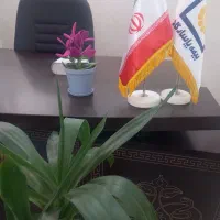 منشی تلفنی فقط خانم (جهت کار درمنزل)