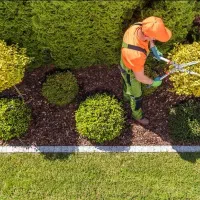 باغبانی وهرس درختان ، کاشت گل های فصلی