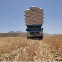 فروش کاه گندم درجه یک انباری