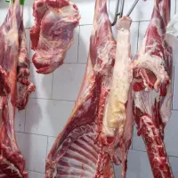 سلاخی ذبح قصابی