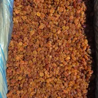 ادویه فروشی خانه مادری|خوردنی و آشامیدنی|قم, شهرک مهدیه|دیوار