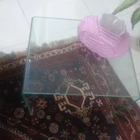 میز جلوی مبلی شیشه خم وعسلی|مبلمان خانگی و میز عسلی|هشتگرد, فاز ۱ مهستان|دیوار