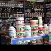 سمپاشی تضمینی|خدمات نظافت|ایلام, |دیوار