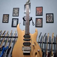 گیتار الکتریک Cort viva gold 2