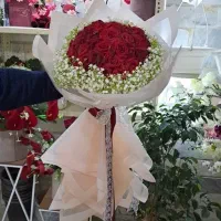 گل روبانی|گل مصنوعی|صدرا-فارس, فاز ۱|دیوار