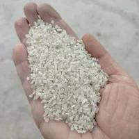 برنج کامفیروزی چمپا اصل و نیم دانه به شرط پخت|خوردنی و آشامیدنی|شیراز, آبیاری|دیوار