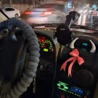 راننده شخصی با اتومبیل
