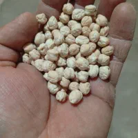 نخود گکسو|خوردنی و آشامیدنی|روانسر, |دیوار