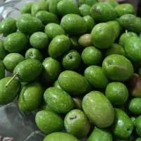 زیتون سبز درجه یک