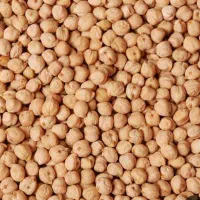 نخود فلافل مرغوب