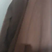 یک عدد پالتو و کاپشن