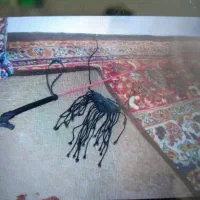 زین اسب|اسب و تجهیزات اسبسواری|کاشان, کوشک صفی|دیوار