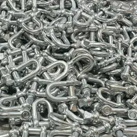 شگل ( رابط زنجیر ) دو پا