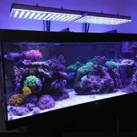 چراغ آکواریومی ، چراغ رشد گیاه