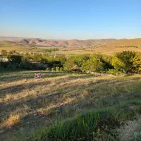 باغ|فروش زمین و ملک کلنگی|همدان, |دیوار