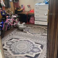 اجاره خانه ویلایی طبقه دوم ۷۰متری یه خوابه|اجارهٔ خانه و ویلا|ماهدشت, |دیوار