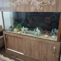 آکواریوم ماهی