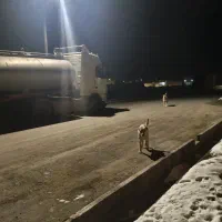 سوئیچ پیدا شده