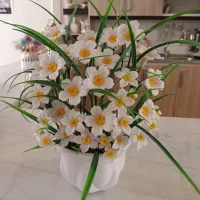 گل کریستال و انگور