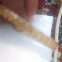 یک عدد النگو پیداشده