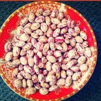 لوبیا چیتی