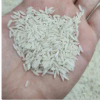برنج طارم هاشمی ممتاز شمال