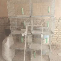 قفس ۸خان جوجه پرون|لوازم جانبی حیوانات|اقلید, |دیوار