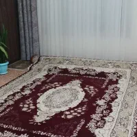 فروش یکجا|فرش|سجاس رود, |دیوار