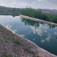 زمین باغ|فروش زمین و ملک کلنگی|قاهان, |دیوار