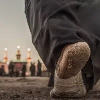 تهران مشهد