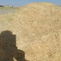 کاه گندم ویونجه