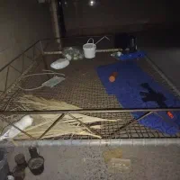 تخت فلزی قدیمی حیاط و باغ|تخت و سرویس خواب|دوگنبدان, |دیوار