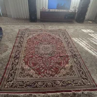 فرش|فرش|سبزوار, توحیدشهر|دیوار