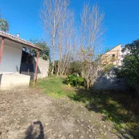 خانه و شالیزار/هشت دقیقه تا گلسار/1 هکتار/چسب هم|فروش خانه و ویلا|رشت, بلوار گیلان|دیوار