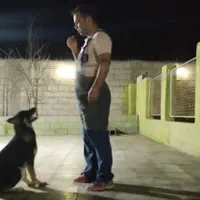 مربی سگ. آموزش سگ. پانسیون سگ|خدمات آموزشی|شیراز, میانرود|دیوار