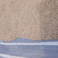 لوبیا ارتشی بوجاری شده