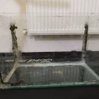 آکواریوم بسیار تمیز و محکم