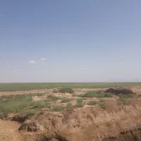 1000 متر زمین، هزار متر زمین|فروش دفتر صنعتی، کشاورزی، تجاری|گنبد کاووس, |دیوار