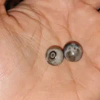 ۳ جفت مهره سلیمانی قدیمی