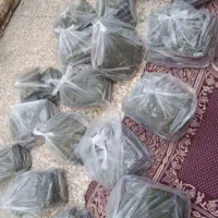 سبزی خورشتی