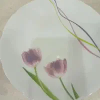 فروشی|ظروف سرو و پذیرایی|اصفهان, مهرآباد|دیوار