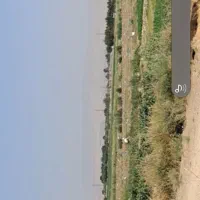 زمین کشاورزی اجاره ای|اجارهٔ دفتر صنعتی، کشاورزی، تجاری|بشاریات, |دیوار