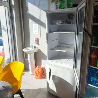 یخچال  ویترینی دو کاره