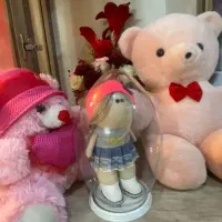 پولیشی ها عروسک خرسک باکس گل|کلکسیون و سرگرمی|ری, سیزده آبان|دیوار