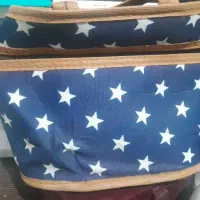 یک ساک دستی دراتوبوس BRTگمشده.